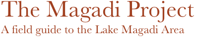 The Magadi Project
A field guide to the Lake Magadi Area