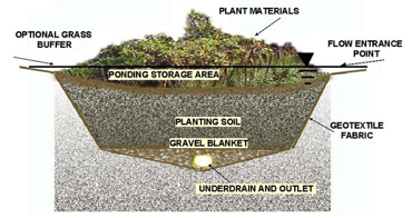 Bioretention