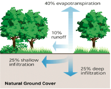 Stormwater 1