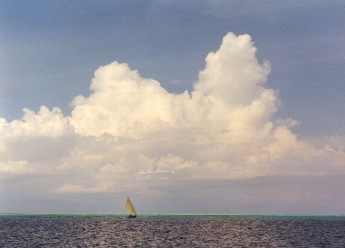 Dhoni