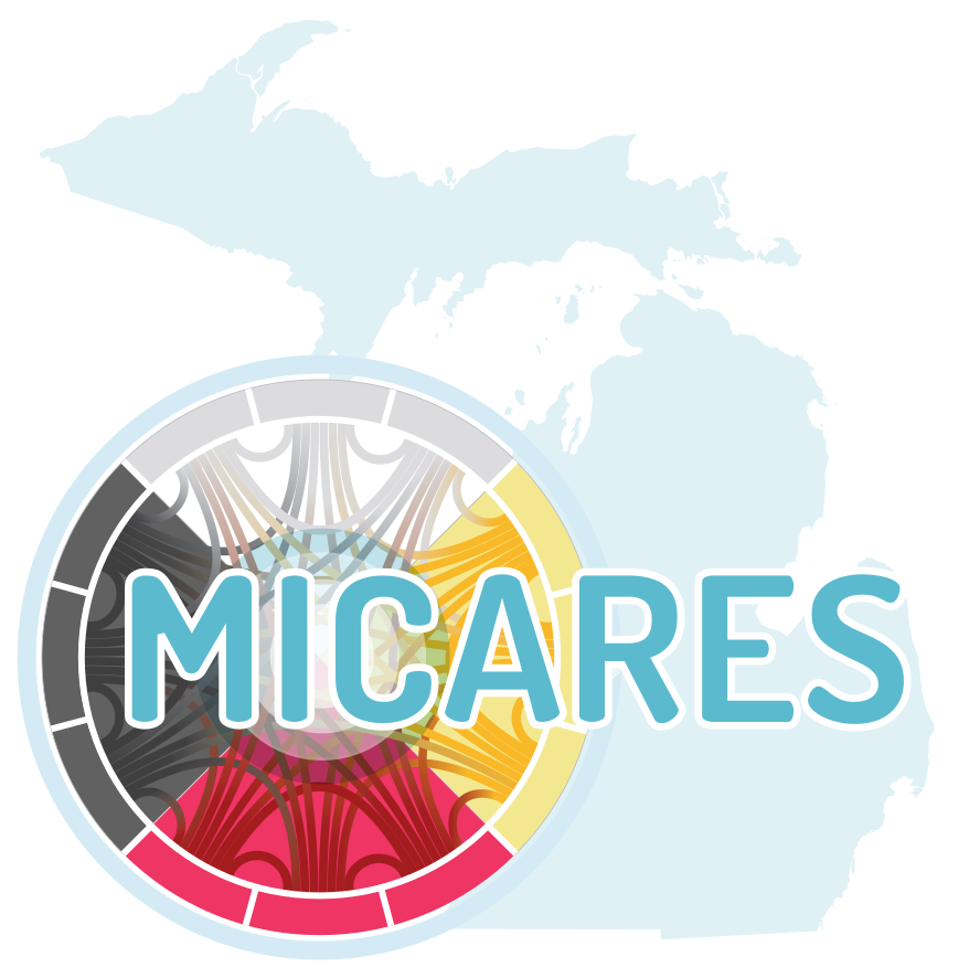 MICARES Project