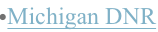 shapeimage_2_link_13