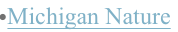 shapeimage_2_link_16