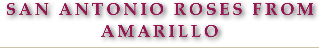 San Antonio Roses from Amarillo
￼
