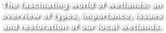 The fascinating world of wetlands: an overview of types, importance, issues and restoration of our local wetlands.  