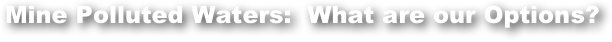 Mine Polluted Waters:  What are our Options?  