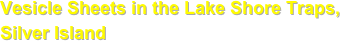 Vesicle Sheets in the Lake Shore Traps, Silver Island