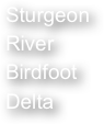 Sturgeon River Birdfoot Delta
