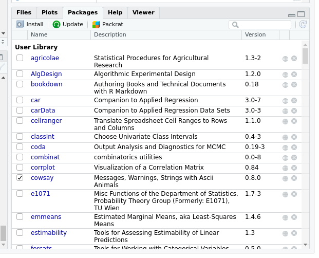 R Studio packages pane